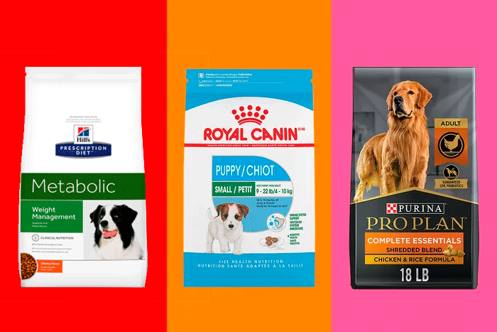 Mejor alimentos para perros 2023 Mejor alimentos para perros 2023